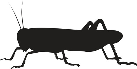 Garden insect vector silhouette collection © Stud