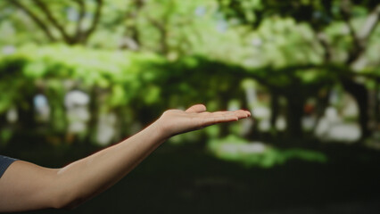 Man's hand extended in a lush green park setting, showcasing a serene and natural outdoor environment, highlighting the peaceful ambiance of a garden scene.