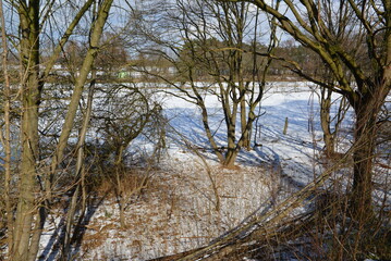Fototapeta premium Tönnhausen_0059 