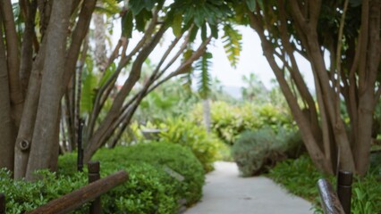 Lush tropical resort pathway with blurred foliage, luxurious greenery, and vibrant natural scenery, creating a tranquil outdoor oasis atmosphere, ideal for relaxation and escape.