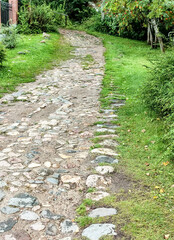 An old country winding road, paved with cobblestones, passes in the midst of thickets of bushes and grass, a vertical