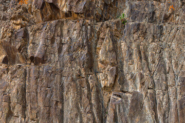 Rugged rock face with plants in mountainous Kyrgyzstan