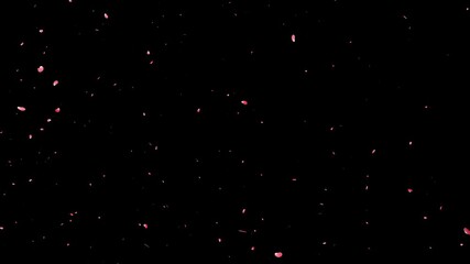 Japanese Spring Sakura Petals Falling Chroma Key. Cherry Blossom 4k, Isolated Pink Petals Animated Black Screen Overlay with Alpha Matte, Floral Chroma Key, Alpha Channel - Powered by Adobe