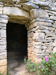 Cistus laurifolius devant l'entrée d'une capitelle