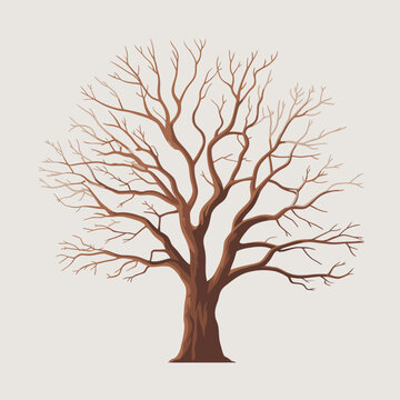 Stylized illustration of a bare deciduous tree with brown branches against a light background