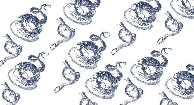 snake pattern