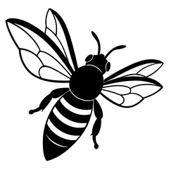 Fototapeta premium Black bee flying with spread wings insect black and white