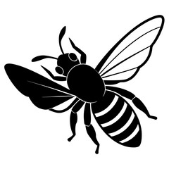 Obraz premium Black silhouette flying bee spread wings insect