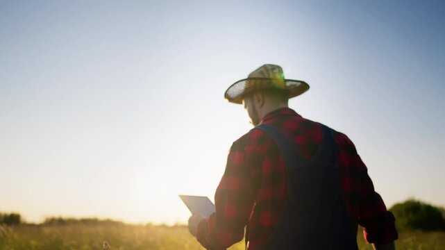 Professional agronomist walking in beautiful agricultural field in summer day. Man in checked shirt and straw hat using tablet for planning harvesting of farm, back view, following shot in farmland