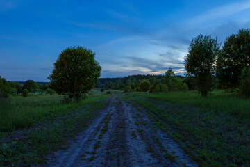 Countryside dirt road through green field at twilight