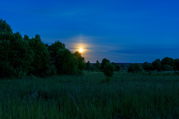 Full moon rising over trees in rural meadow at twilight