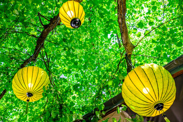 typical chinese lanterns