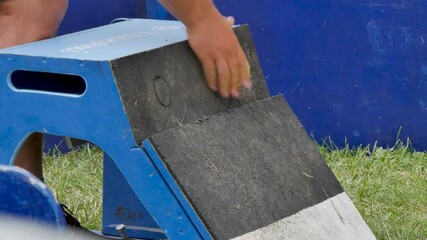 Two dogs racing for tennis balls