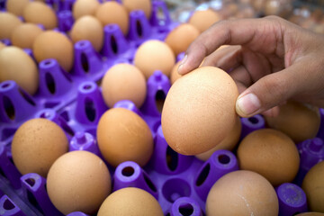 Close up of a child hand pick up domestic eggs in the supermarket
