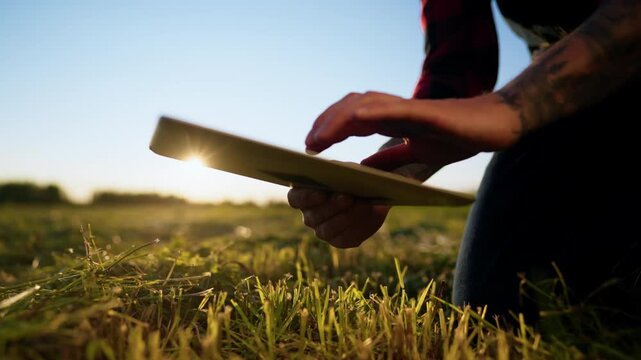 Ecology and agriculture, agronomist examining fields in farmland, closeup view. Farmer or bioengineering using tablet and inputting data of soil, plants and ecological conditions in agricultural field