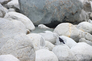 stones on the beach