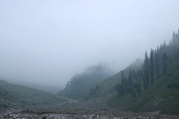 fog in the mountains
