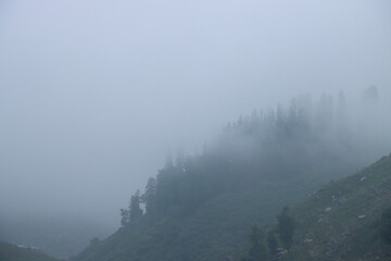 fog in the mountains