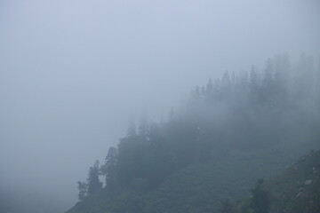 fog on the mountain