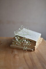 Vintage books and dried flowers
