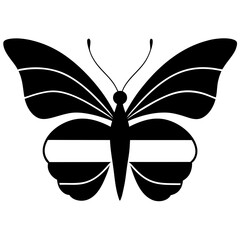butterfly vector illustration