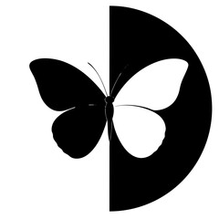 butterfly vector illustration