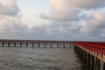 The Red Bridge Dolphin Viewpoint is stunning in the morning light.