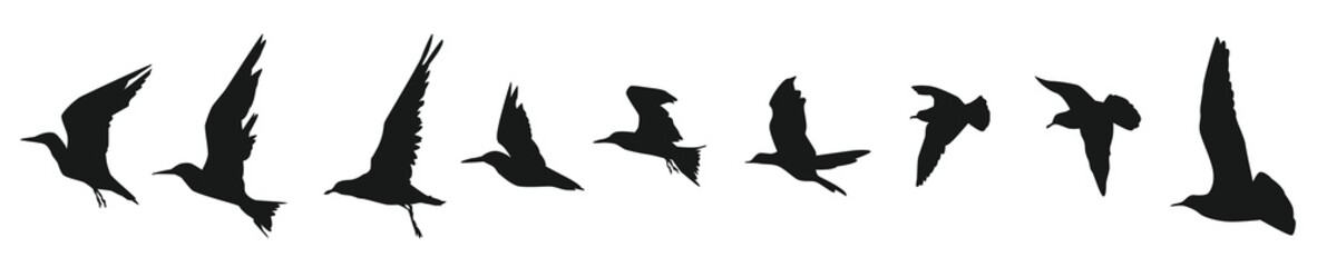 Set flying bird silhouettes side view vector illustration.