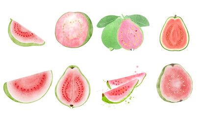 Set of guava in watercolor style