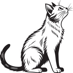 Black Cat Silhouette Vector 