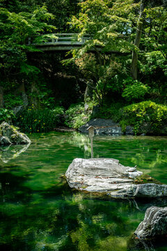 Momijidani Teien Garden, Wakayama, Japan
