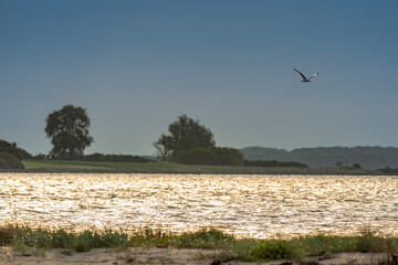 morning or evening landscape with nice beach , a sunrise or sunset in sea with amazing light
