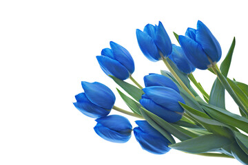 a bunch of blue tulips are in a vase