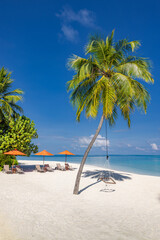 Tranquil tropical resort with beach chairs umbrella under palm trees swing, peaceful summer vacation destination on sandy shore with sunny sky and beauty relaxing shore atmosphere. Tourism background