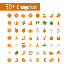 50+ Flat Design Orange and Citrus Icons Set collection