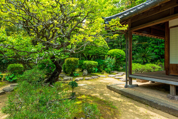 大分県　杵築の町並み　磯矢邸