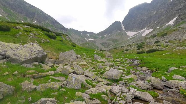 



Highest parf of Hlinska dolina valley in High Tatras mountains in Slovakia during cloudy early summer day