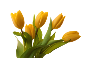 a vase with yellow flowers in it