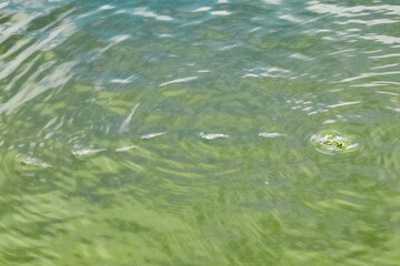 都心散歩　浜離宮百景