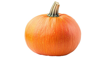 Obraz premium A round, orange pumpkin with a textured surface and a thick, short stem.
