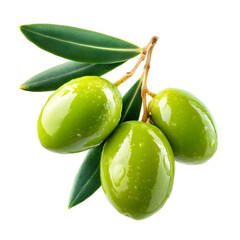 Fresh green olives on a branch isolated against a sleek black background