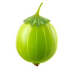 Isolated close-up of a fresh, vibrant green gooseberry against a dark background