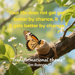 A butterfly is sitting on a branch with a quote from Jim Ronon. The quote is "Your life does not get better by chance