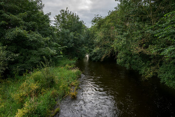 A tranquil scene of the River Fane in County Monaghan, Ireland, featuring flowing water and a lush riparian forest evoking serenity and natural beauty in the Irish countryside