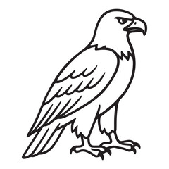 Fototapeta premium Eagle vector silhouette of a flying bird isolated on white background