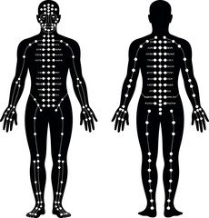 Acupuncture Points silhouette on white background