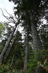 Climbing Mount Hiragatake, Niigata, Japan