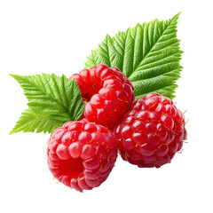 Three vibrant raspberries with fresh green leaves isolated on a dark background