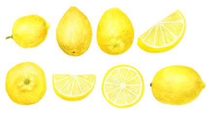 Set of lemon in watercolor style