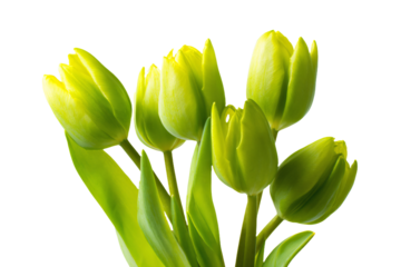 a vase with some green flowers in it